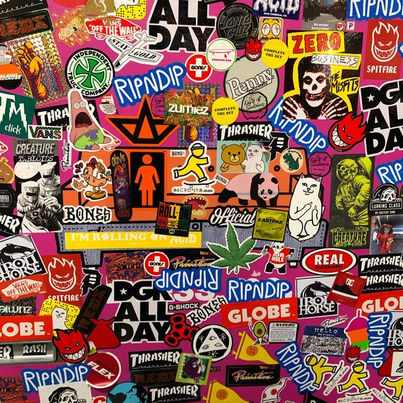 Meet your Posher, Layla - Picture 1 of 1